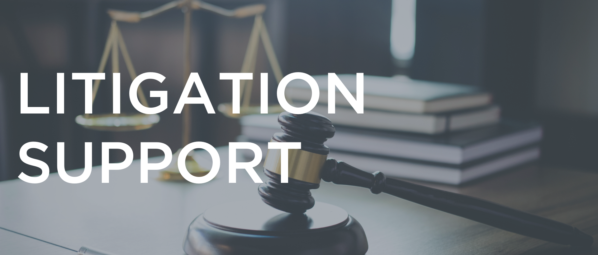 automated litigation support software programs